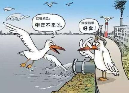 从根源攻克水环境污染防治 系统性与长期主义的路径