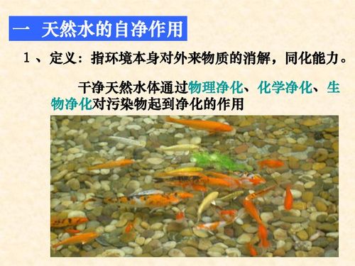 水污染及其成因与水环境污染防治