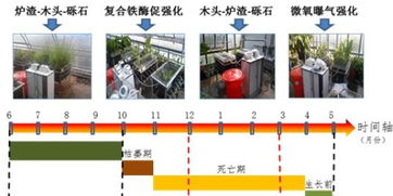 东北地理所突破缓释碳源人工湿地技术，助力水环境治理新篇章