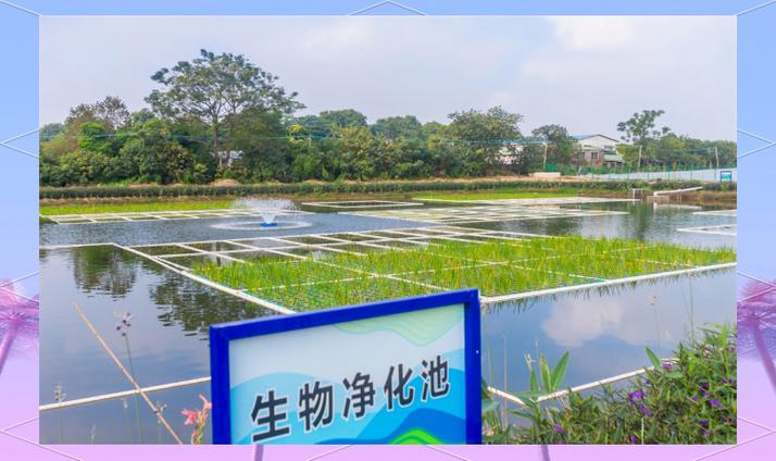 广东顺控自华科技:生态环境领域的创新力量